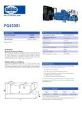 FG WILSON-PG450B1 