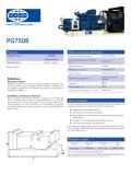 groupe électrogène Gas-750 kVA 