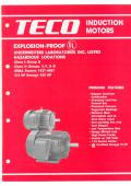 TECO Explosion-Proof Induction Motor-Nema Frame