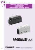 TECNOMORS-MAGNUM    Two jaws parallel stroke grippers for clean rooms