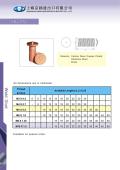 Shanghai Weld Stud