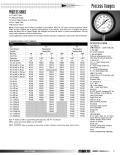  Marsh Bellofram - Process Gauges