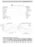 HIGH PERFORMANCE VANE MOTOR VM4E / VM4SE