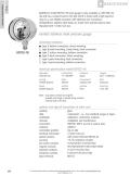 Badotherm Group-BDT32-18 - All stainless steel gauge with build in contact
