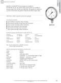 Badotherm Group-BDT22 - All stainless steel slim bezel pressure gauge