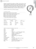 Badotherm Group-BDT22 - All stainless steel slim bezel pressure gauge