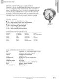 Badotherm Group-BDT20-P - Overpressure protected stainless steel solid front gauge