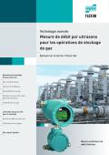 FLEXIM-Mesure de débit par ultrasons pour les opérations de stockage de gaz