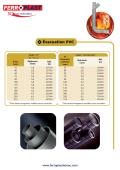 Ferroplast Maroc-Evacuation PVC