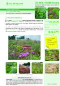 MIX-FLORE Aroma Association de différentes espèces de succulentes et vivaces aromatiques 
