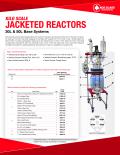 JACKETED REACTORS 30L 