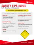 SAFETY TIPS Safe Handling of Glassware  LABORATORY GLASSWARE