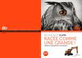 PELLE RAIL-ROUTE Z110PRR