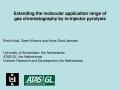Extending the molecular application range of gas chromatography by in-injector pyrolysis