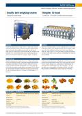 Double belt weighing system