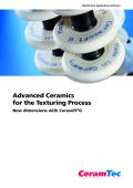 Advanced Ceramics for the Texturing Process