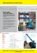 Mini Crawler Crane MCC500D