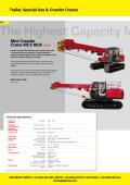 Mini Crawler Crane MCC1005