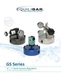GS Series ¼" – 1" Back Pressure Regulators